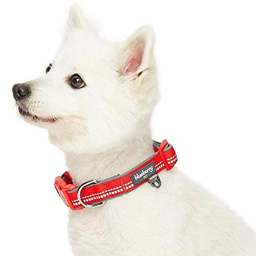 Blueberry Pet Suave y cómodo collar de perro acolchado de color pastel reflectante 3M, rojo, grande, cuello de 45 cm a 66 cm, collares ajustables para perros