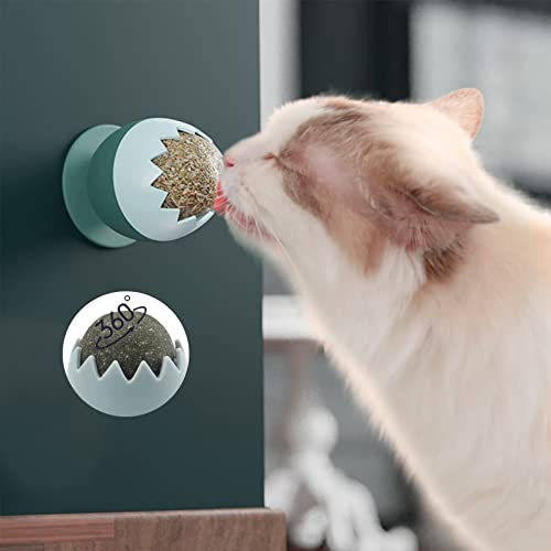 Bolas de menta para gatos, juguetes para gatos, juguetes de hierba gatera, golosinas para gatos, juego de juguetes interactivos para gatos, bolas de menta gatera