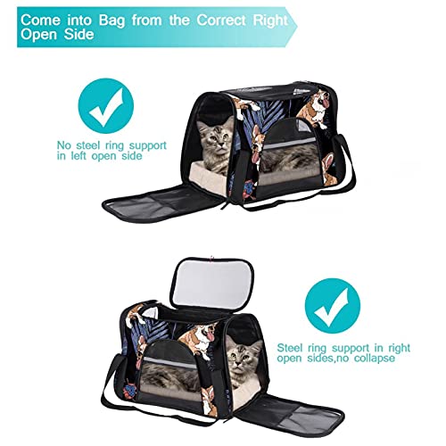 Bolsa de viaje para mascotas, bolsa portátil para mascotas, tela plegable, bolsa de viaje para perros o gatos, jaula para mascotas con cremalleras de seguridad, lindas hojas de palma corgi Dogtropical