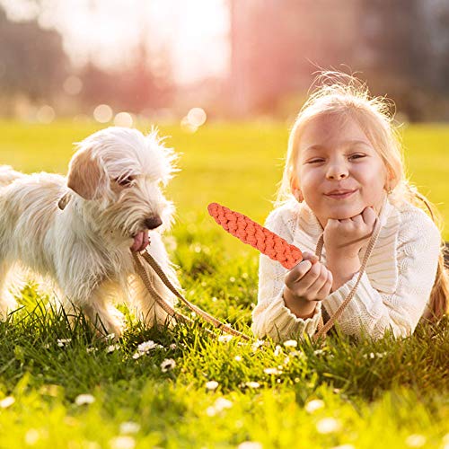 BOMPOW Juguetes para perros duraderos, juego de dentición para cachorros de algodón con nudos, juguetes para masticar para cachorros pequeños, 10 unidades