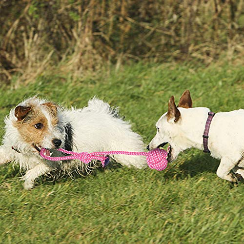 BOMPOW Juguetes para perros duraderos, juego de dentición para cachorros de algodón con nudos, juguetes para masticar para cachorros pequeños, 10 unidades