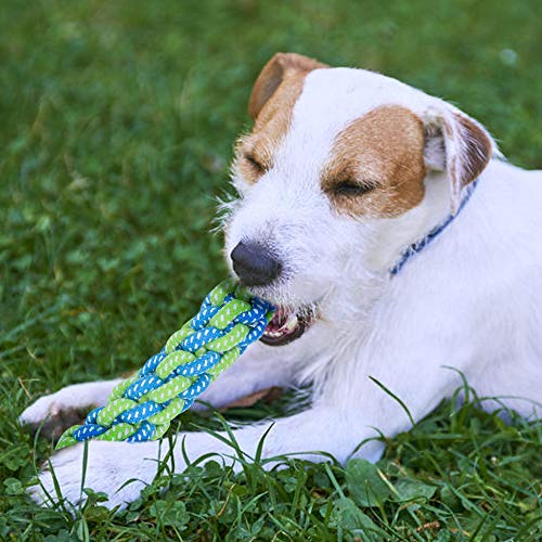 BOMPOW Juguetes para perros duraderos, juego de dentición para cachorros de algodón con nudos, juguetes para masticar para cachorros pequeños, 10 unidades