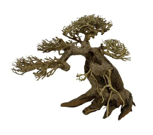 Bonsai MS madera natural 20 x 25 cm Aquascaping acuario dulce con plantas holandesas