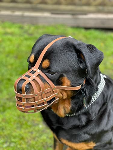 Bozal de perro de piel auténtica ligera para Rottweiler, mastín y otros hocicos similares (cuero natural, R1)