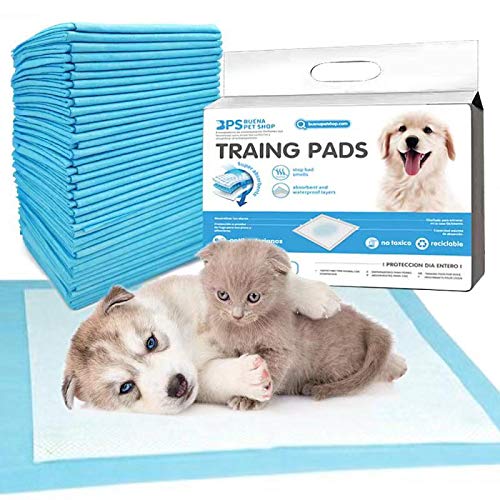 BPS 80Pcs Empapadores Perro de Entrenamiento 56 x 56 cm para Perros Gatos Alfombrilla Toallita Higiénica BPS-2193 * 02