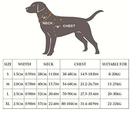 BPS® Arnés Correa para Perros Mascotas Collar Ajustable 4 Tamaños Colores para Elegir para Perro Pequeño Mediano y Grande (S, Azul) BPS-3881A