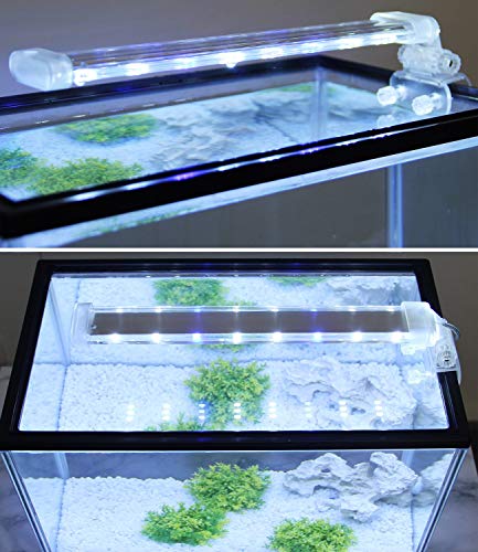 BPS Lámpara de Acuario LED Iluminación Luces para Plantas Luz Blanco y Azul 2 Modelos para Elegir 4W/8W (12W: 400 x 40 mm) BPS-6169