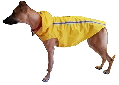 Brissa España. Chubasquero Perro Grande Mediano (Longitud Cuerpo 60 cm). Impermeable Perro con Capucha y Forro de Quita y pon de Borreguillo. Hecho en España. (Amarillo)