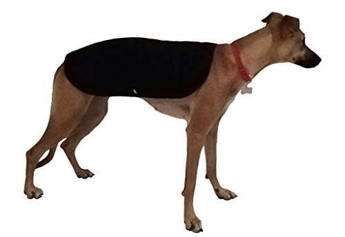 Brissa España. Chubasquero Perro Grande Mediano (Longitud Cuerpo 60 cm). Impermeable Perro con Capucha y Forro de Quita y pon de Borreguillo. Hecho en España. (Amarillo)