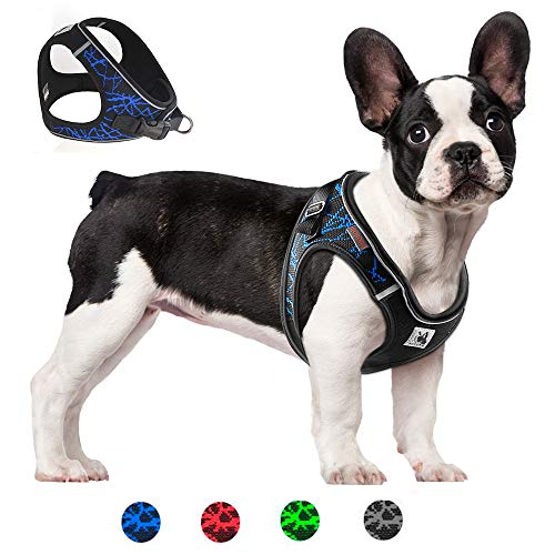 Brthspob Arnés Perro Ajustable, Arnés Perro Grande Mediano Pequeño Cómodo Transpirable y con Lineas Reflectantes, Arnés para Perros pequeños Caminar Entrenamiento (S, Azul)