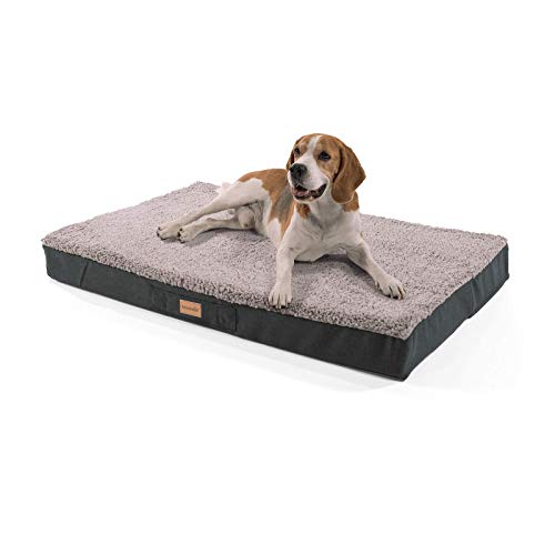 brunolie Balu - Cama para perros lavable, ortopédica y antideslizante, cojín para perros de peluche suave, beis, marrón oscuro, gris oscuro y gris, tallas S-XXL