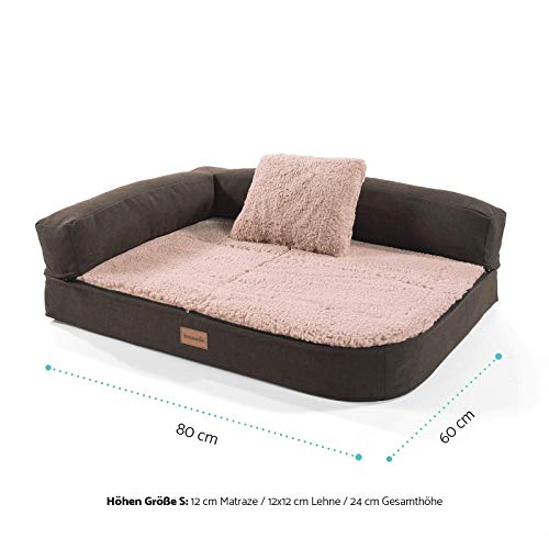 brunolie Odin Sofá para Perros pequeño Beige, Lavable, ortopédico y Antideslizante, Cama para Perros con Bordes extraíbles, Tamaño S (80 x 60 x 10 cm)