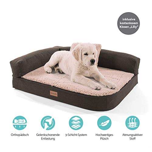 brunolie Odin Sofá para Perros pequeño Beige, Lavable, ortopédico y Antideslizante, Cama para Perros con Bordes extraíbles, Tamaño S (80 x 60 x 10 cm)