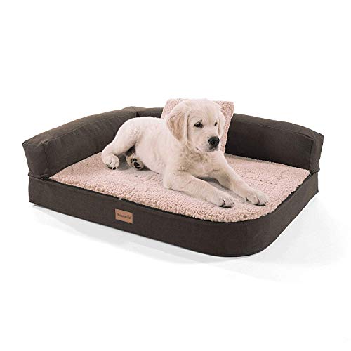 brunolie Odin Sofá para Perros pequeño Beige, Lavable, ortopédico y Antideslizante, Cama para Perros con Bordes extraíbles, Tamaño S (80 x 60 x 10 cm)