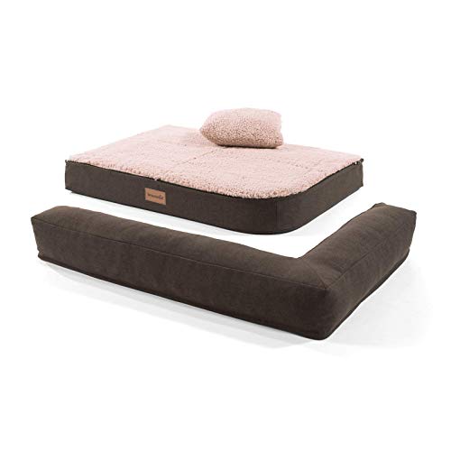 brunolie Odin Sofá para Perros pequeño Beige, Lavable, ortopédico y Antideslizante, Cama para Perros con Bordes extraíbles, Tamaño S (80 x 60 x 10 cm)