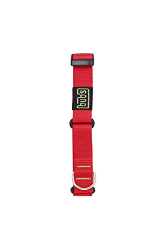 bub's Collar Especial Galgo - Collar para Perro Mediano/pequeño. para Todo Tipo de Razas de Perro y Especialmente para Galgos (Comprobar tamaño: Cuello 22 a 35). Color Rojo.