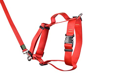 bub's no Pull - arnés con asa para Perro Grande Sistema Anti tirón (Comprobar tamaño: Cuello 43-74cm Pecho 59-94cm) (Rojo)