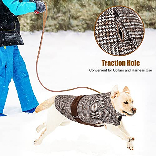 Buddypuppy Abrigos para Perros, Abrigo Perro para Perros medianos y Grandes, cálida Chaqueta Perro de Invierno con Correa Trasera Ajustable, L