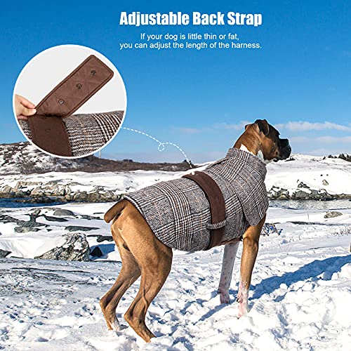 Buddypuppy Abrigos para Perros, Abrigo Perro para Perros medianos y Grandes, cálida Chaqueta Perro de Invierno con Correa Trasera Ajustable, L