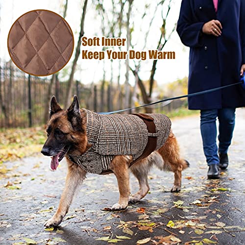 Buddypuppy Abrigos para Perros, Abrigo Perro para Perros medianos y Grandes, cálida Chaqueta Perro de Invierno con Correa Trasera Ajustable, L