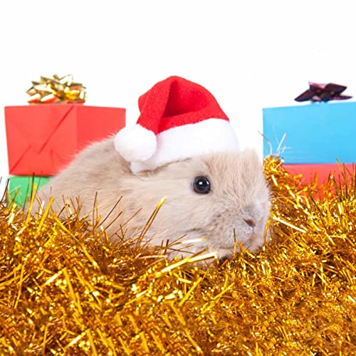 Bufanda con gorro de Papá Noel, rojo, verde, ajustable, juegos de gorro navideño para mascotas, perro, gato, más cálido, gorro de Papá Noel para mascotas, juego de bufanda para fiesta de Navidad