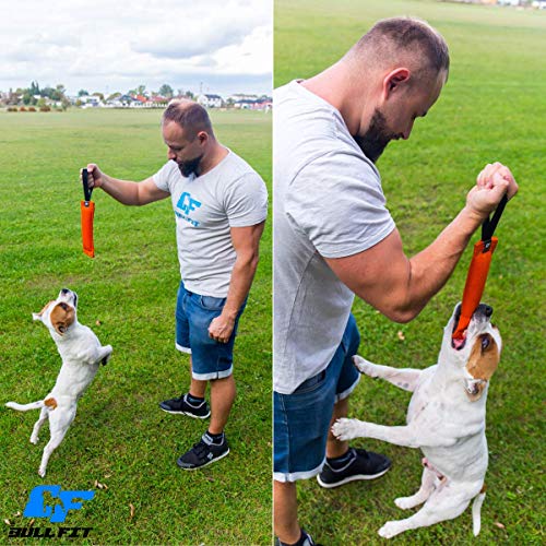 Bull Fit mordedor perro Cotton/NY, con un asa, 30 cm - K9 dummy y motivador canino resistente y duradero - juguetes para perros de entrenamiento