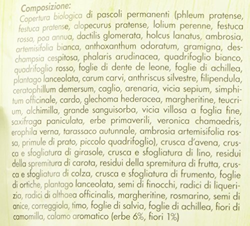 Bunny Ensueño para Conejos Enanitos Alle Hierbas Herbs – 1500 gr