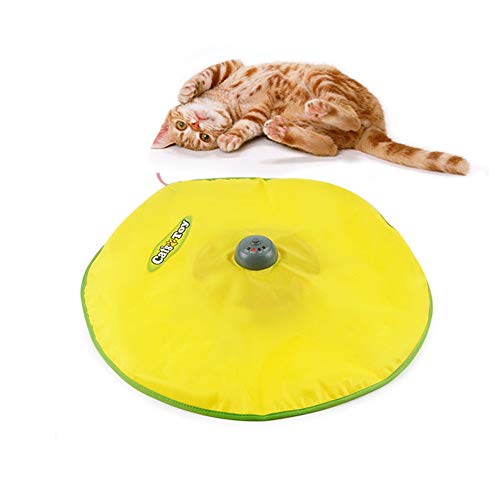 BUYTER Cat'S Meow Pánico con El Mouse Juego Interactivo para Gatito Juguete