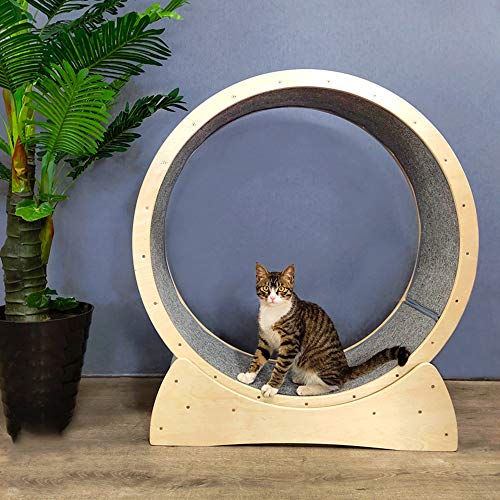 BZZBZZ Gran Gato de Madera Maciza Rueda de Ejercicio Rodillo Mascota Deportes Especiales Dispositivo de pérdida de Peso Silencio Estable Carga máxima Carga 176 Lbs Diámetro 91 cm