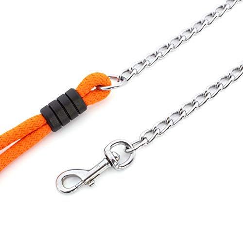 Cadena de Perro Resistente con Mango de Nailon - Correa de Acero Inoxidable de Paseo y Duradera - para Perros Pequeños, Medianos y Grandes (S - 100cm x 2mm, Rojo)