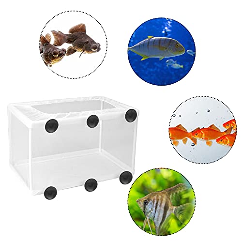 Caja de Cría de Peces Incubadora de Acuario Tanque de Peces Acuario Criador de Peces para Acuario Flotante con Separador Hatchery y Caja de Crianza Criadero de Peces para Acuario Incubadora Flotante