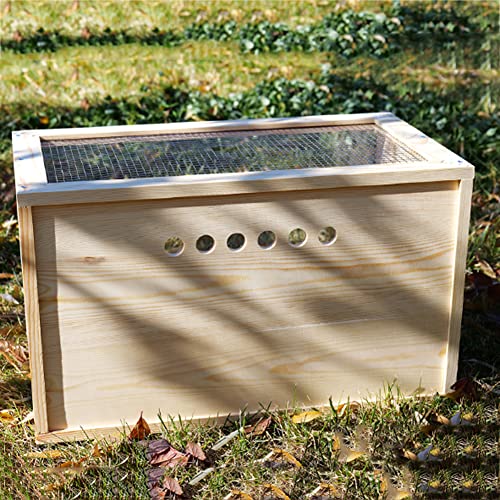 Caja de incubadora de pollos con lámpara de calefacción, casa de madera para animales pequeños, caja de incubadora para calentar pollitos recién nacidos o pájaros enfermos y heridos,60*36*36cm