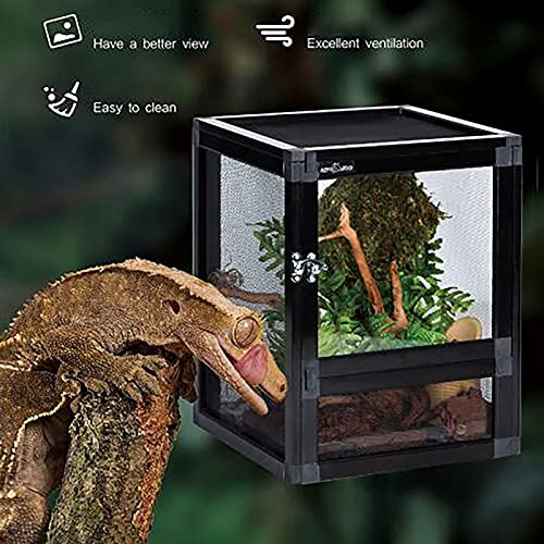 Caja de ventilación arbórea, Tienda de Mascotas, Reloj Corporal Vivo, hábitat de camaleón, cría de Razas, Lagarto, Rana, terrario, Jaula de Reptil Transparente (Size : 25 * 25 * 32cm)