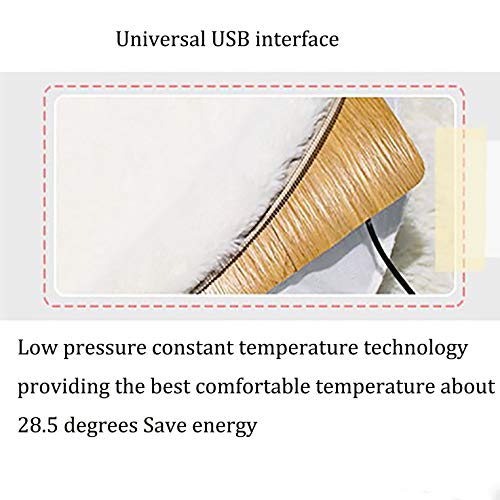 Calefacción del Animal Doméstico, El Bloc De Calor con Interfaz USB Termostático A Prueba De Fugas Manta Desmontable Felpa del Invierno Calefacción Eléctrica Estera del Gato del Perro De Conejo