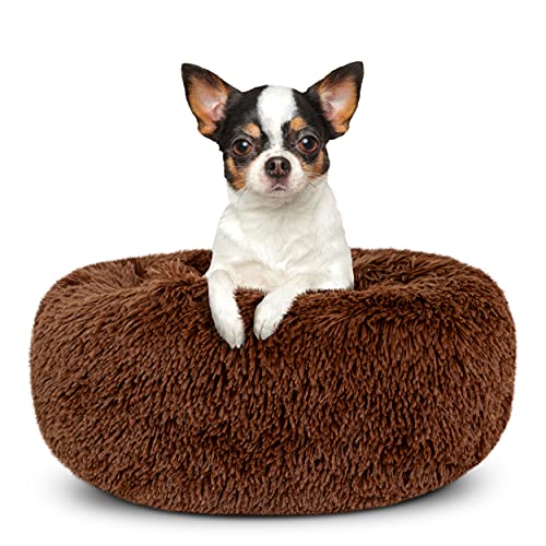 Cama de perro con sonido para dormir, cama extra pequeña, color marrón chocolate