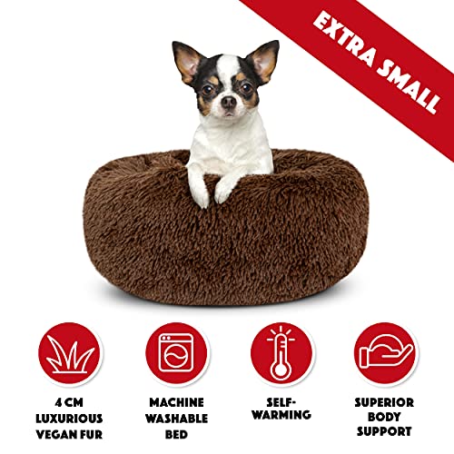 Cama de perro con sonido para dormir, cama extra pequeña, color marrón chocolate