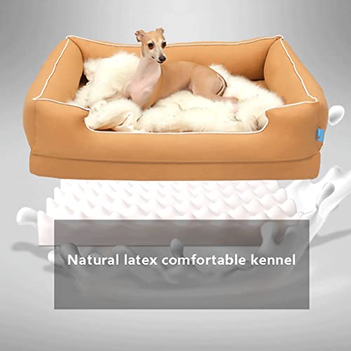 Cama for Perros, Cama for Mascotas, Cama Lavable Repelente de Agua Cubiertas extraíbles, Fondos Impermeables sin Deslizamiento y Almohadilla de látex de Alta Densidad (Color : B, tamaño : Small)