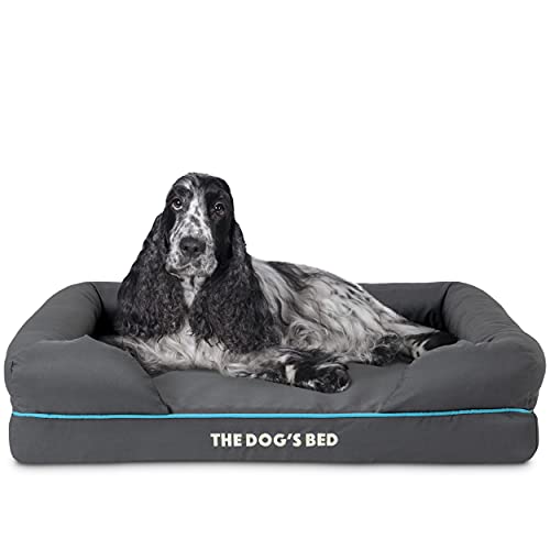 Cama ortopédica de espuma viscoelástica para perro, tamaño mediano, gris con borde azul, alivia el dolor de artritis y displasia de cadera, terapéutico y de apoyo, funda de tela Oxford lavable