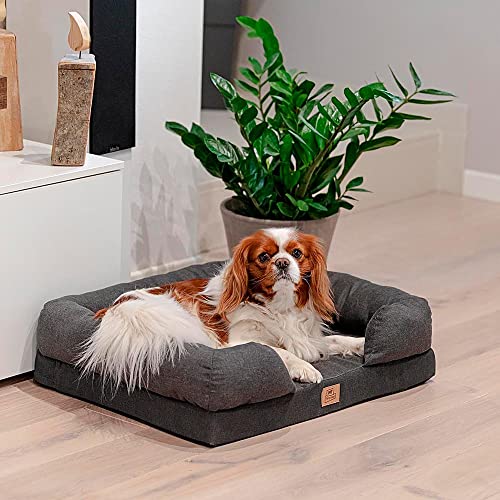 Cama ortopédica para Perros MEMOR-One M Memory Foam Espuma de Memoria, Retirable Funda Extraíble, Lavable