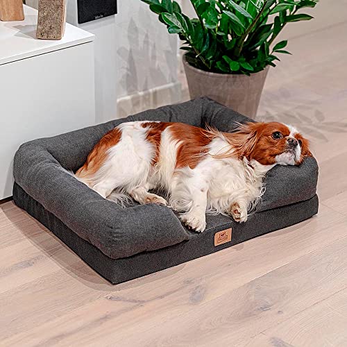 Cama ortopédica para Perros MEMOR-One M Memory Foam Espuma de Memoria, Retirable Funda Extraíble, Lavable