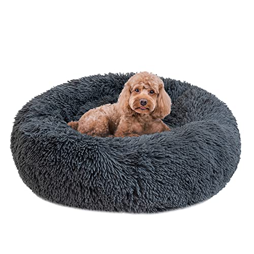 Cama para Gatos Lavable, Cama Perro Cálido Felpa Suave,Cama Interior Invierno para Mascotas,Resbalón Prueba (X-Large-Gris)