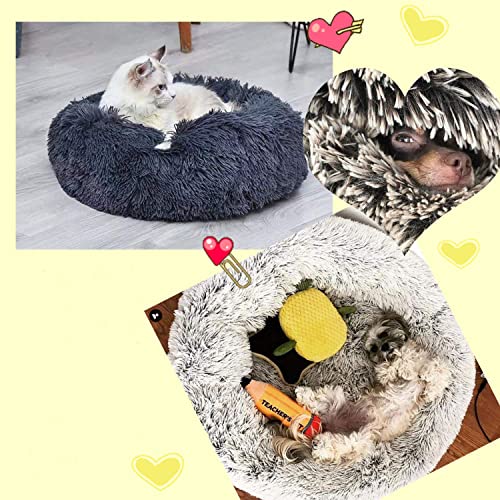 Cama para mascotas Cara de gato y perro de peluche (50, púrpura)