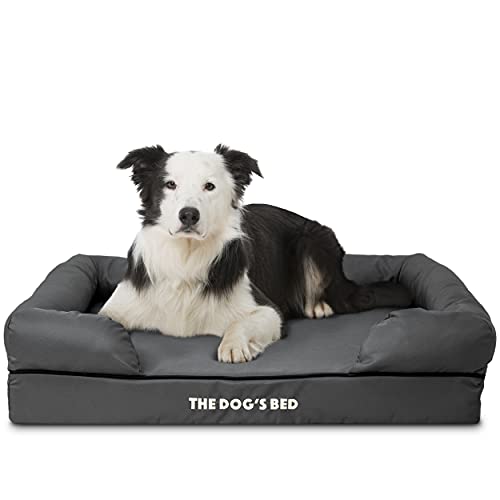 Cama para Perro, ortopédica Premium de Espuma viscoelástica Impermeable para Perro, Gris con Ribete Negro, Alivia la Artritis y la displasia de Cadera, terapéutica y de Apoyo