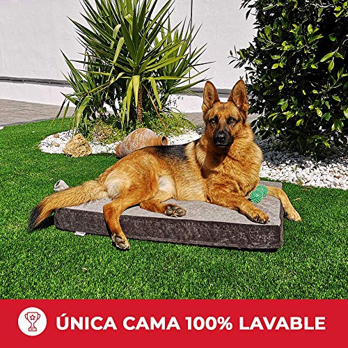 Cama para Perros Ortopédica Grande | Funda y Núcleo 100% Lavable | Antibacteriano | Tejido Especial para Mascotas | 90 x 60 x 9 cm (70x50x9cm)