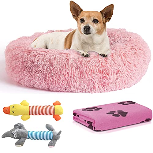 Cama Perro Antiestrés con Manta y 2 Juguetes para Perros, Cama para Perros Pequeños Redonda Tipo Donut de 50cm., Manta para Perro y 2 Juguetes para Perros