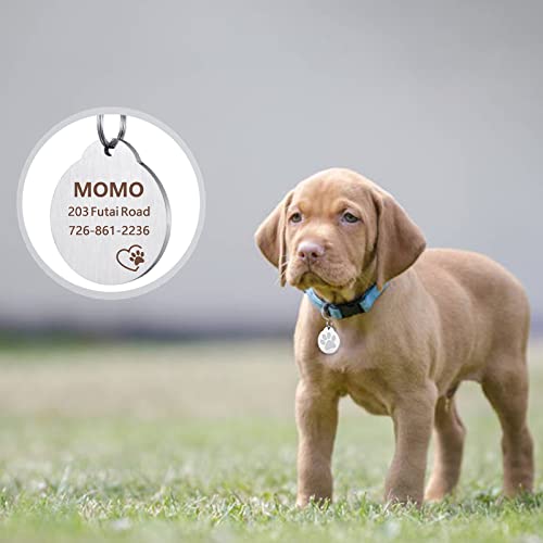 CAMAL Chapa Perro Grabada, 2 Piezas Placas para Perros Grabadas Acero Inoxidable, Placa de Identificación Personalizada para Perros y Gatos, Accesorios para Collares (Oro y Acero)