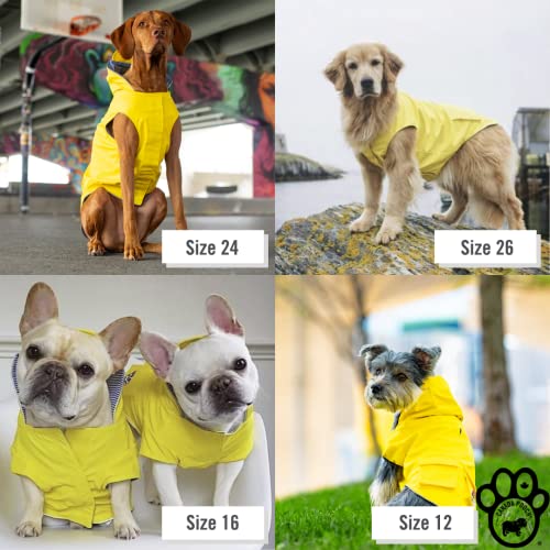 Canada Pooch CP01458 Torrential Tracker - Chubasquero (Talla 20), Color Amarillo