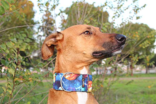 candyPet® Collar Martingale para Perros - Modelo Universe, L