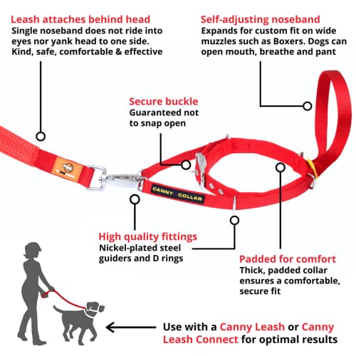 Canny Collar: Collar de Perro Entrenamiento y Collar Antitirones para Perros Grandes o Pequeños, ayuda simple y efectiva con el entrenamiento del perro y evita que los perros tiren de la correa (Negro)