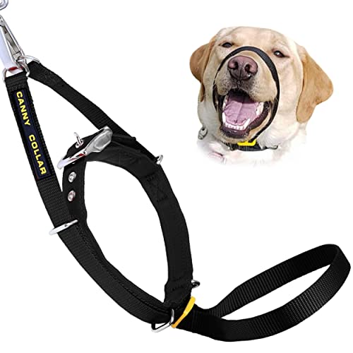 Canny Collar: Collar de Perro Entrenamiento y Collar Antitirones para Perros Grandes o Pequeños, ayuda simple y efectiva con el entrenamiento del perro y evita que los perros tiren de la correa (Negro)